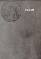 Панель ПВХ Decomax " Урбан " 8мм*25см*2,7м ламінація